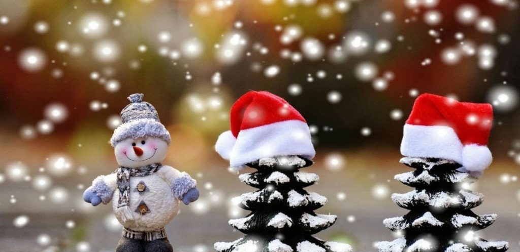 Recital Virtual de Navidad 2020 de EGP
