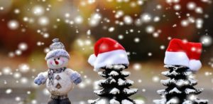 Lee más sobre el artículo Recital Virtual de Navidad 2020 de EGP