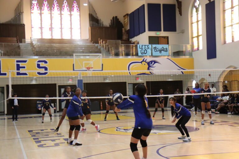 Lee más sobre el artículo El Equipo de Voleibol de EGP Cobra Impulso a Principios de Temporada​